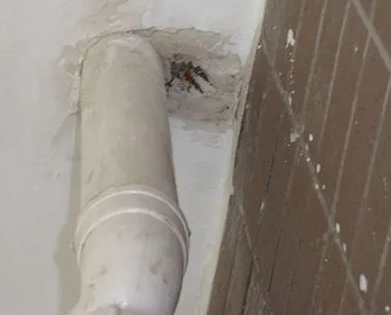 湘潭漏水检测哪家好